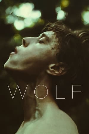 Wolf (2021) Hindi Dual Audio – 480p